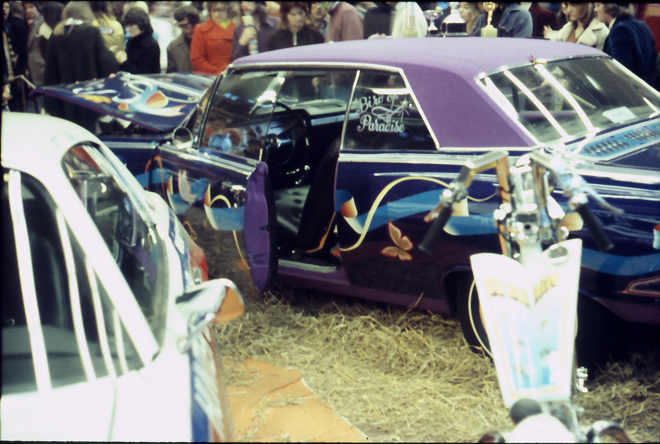 {short description of image}