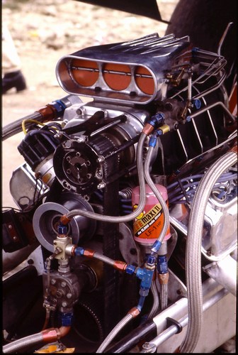 {short description of image}